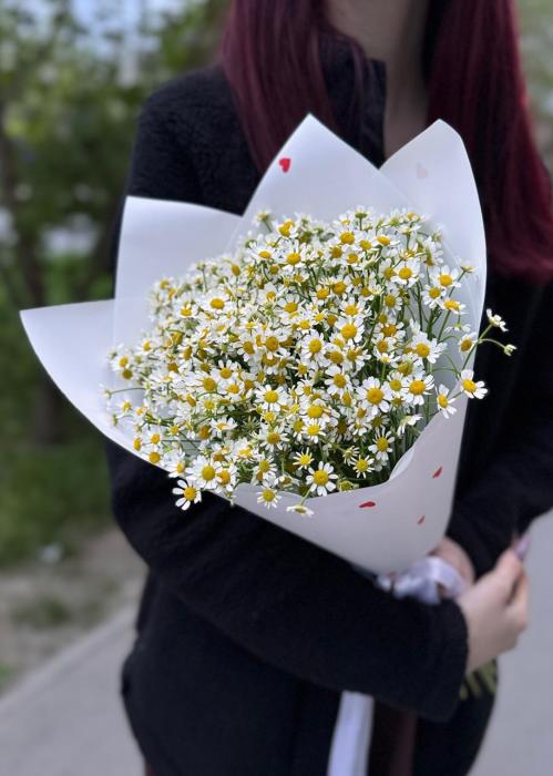 Букет 15 ромашек «Веснушки»