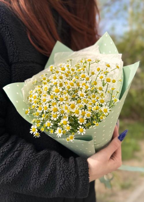 Букет 9 ромашек «Compliment»