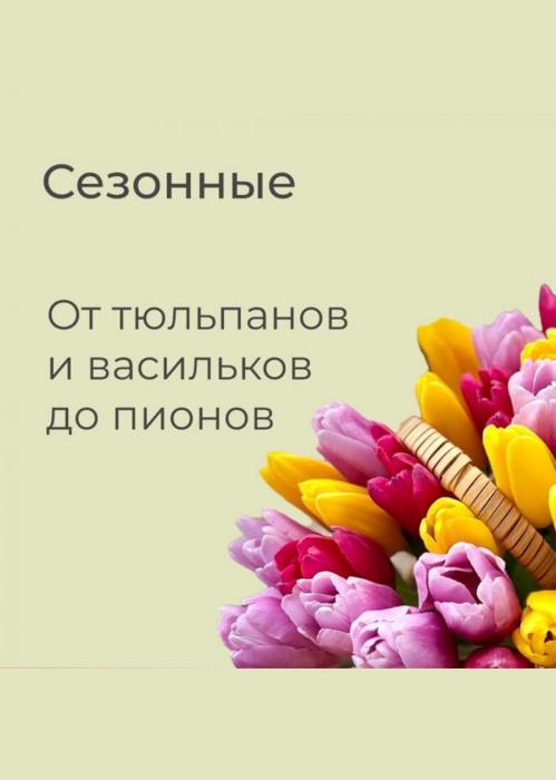 Подписка «Сезонное»